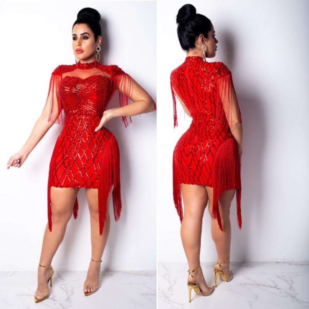 Gorgeous Sequin Tassel Dress For Women Party Night Elegant Red Fringe Dress